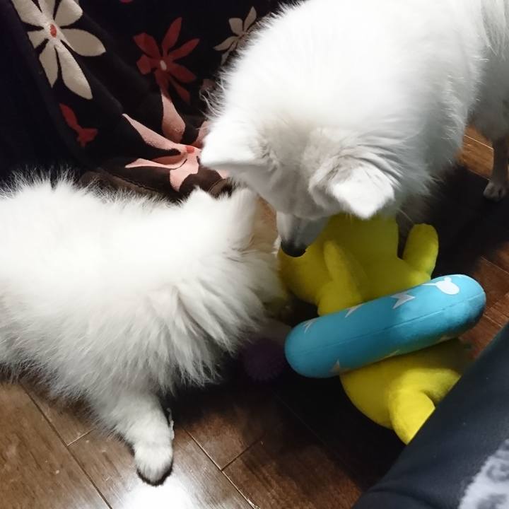 4ea8233b 01c6 4932 baf2 4621fd0d02b5 1547038673084