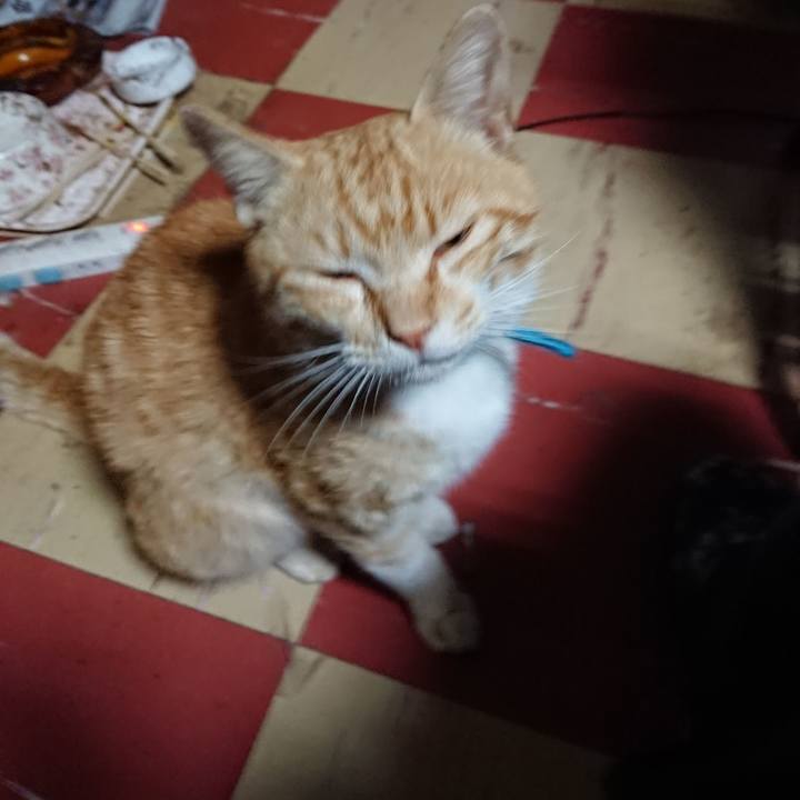 4ea82eca 37d5 445e 87d3 c77a0549356a 1557173329053