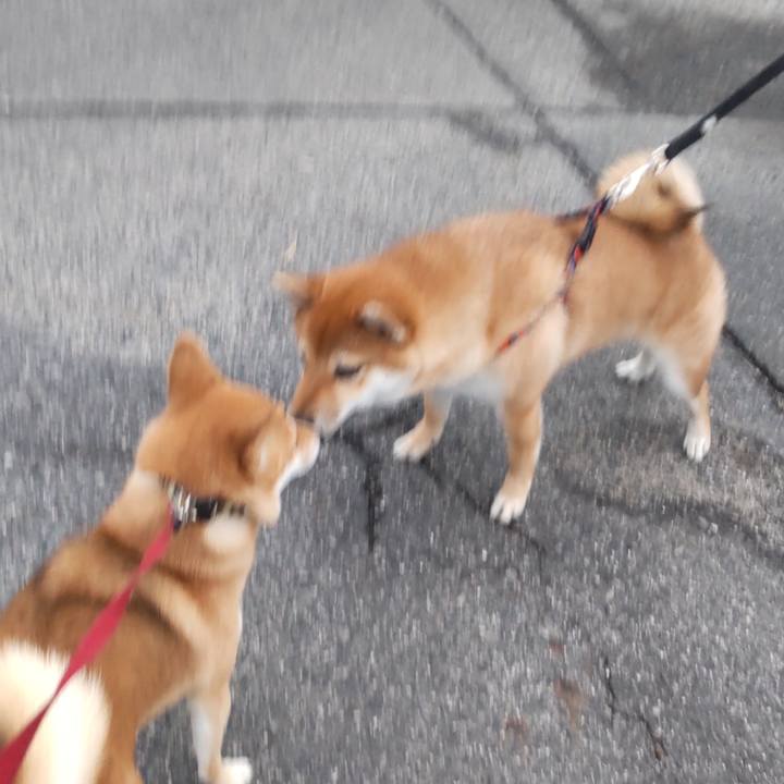 4ea8579c 7891 4ca7 95e0 698577a570eb 1664922125233