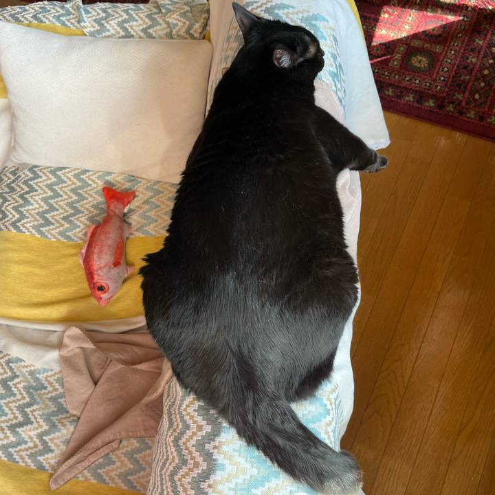 4ea858b0 a95b 474c be83 586d5ecc2878 1683410507029