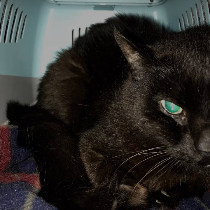 4ea859ca 1b8f 44ae aff9 d619d97d8844 1529063728071