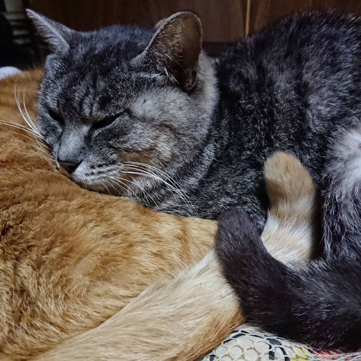 4ea8da2c 3498 4ebe 979b 500d38720586 1581248891264