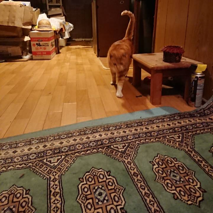 4ea90e55 81c7 42dd 8e05 4d38eda57b52 1578559562292