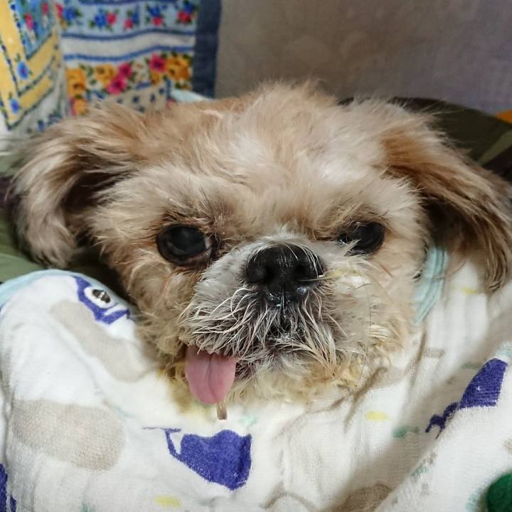 4ea92130 0c90 4ed9 8a5d 860176a131f4 1554715360544