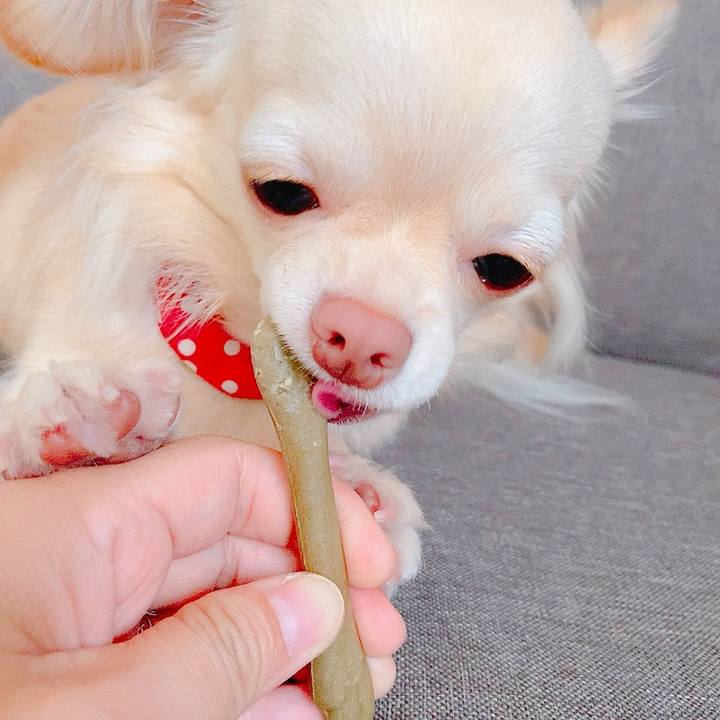 4ea94714 2cb7 442b b035 cd9f0c1e9f42 1627808221755