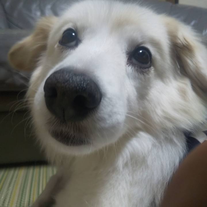 4ea95246 eb99 4f09 af3d 6cf44aa63465 1640002606643