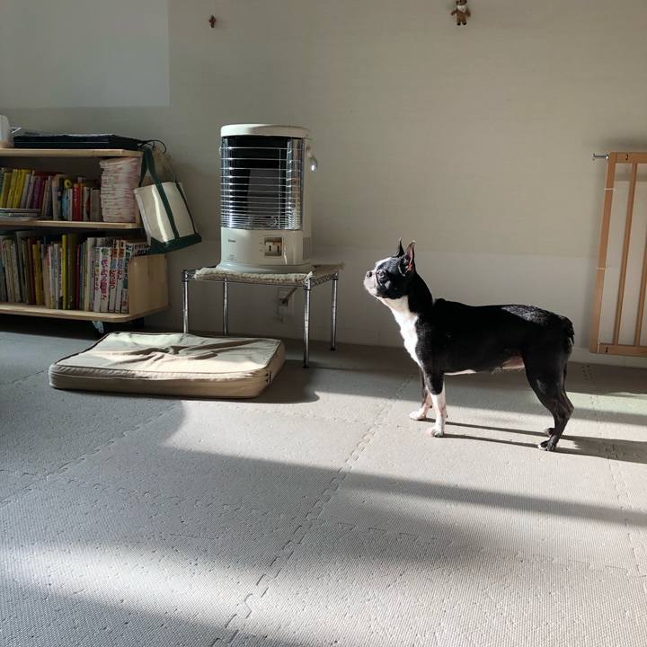 4ea953ad 6f7b 4f4d 849d 9799f8e71452 1685081619152