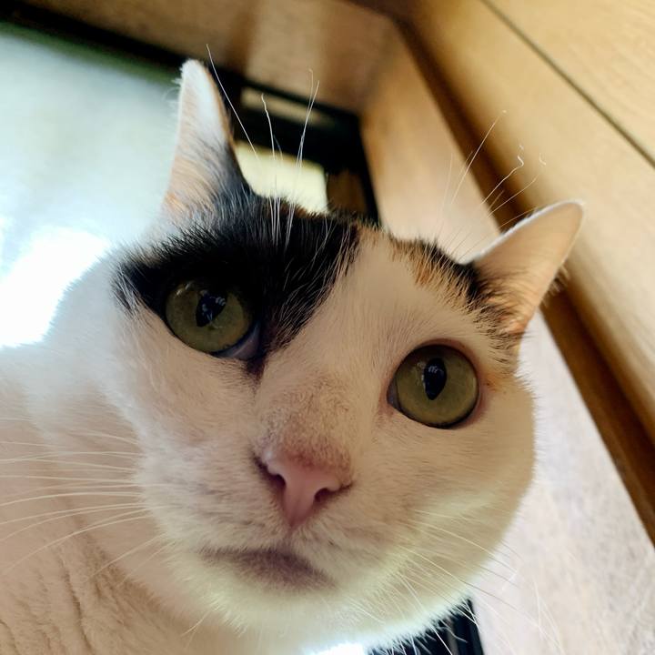 4ea983bf dd8e 4e11 9b25 f13df1d731f4 1595296995360