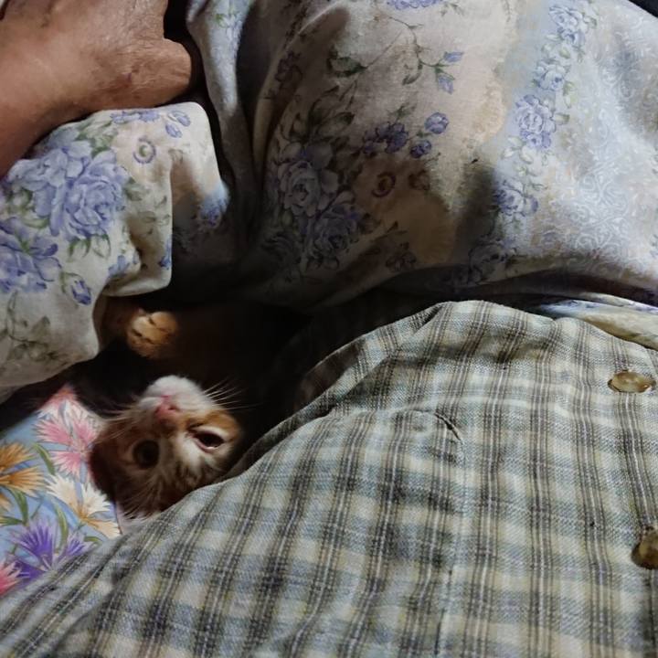 4ea9b68f 3934 4271 9acb 3c8ca588a24a 1629577893336