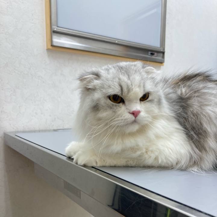 4ea9d506 7fe9 4be3 ba0e a92c695dfe2d 1621687734810