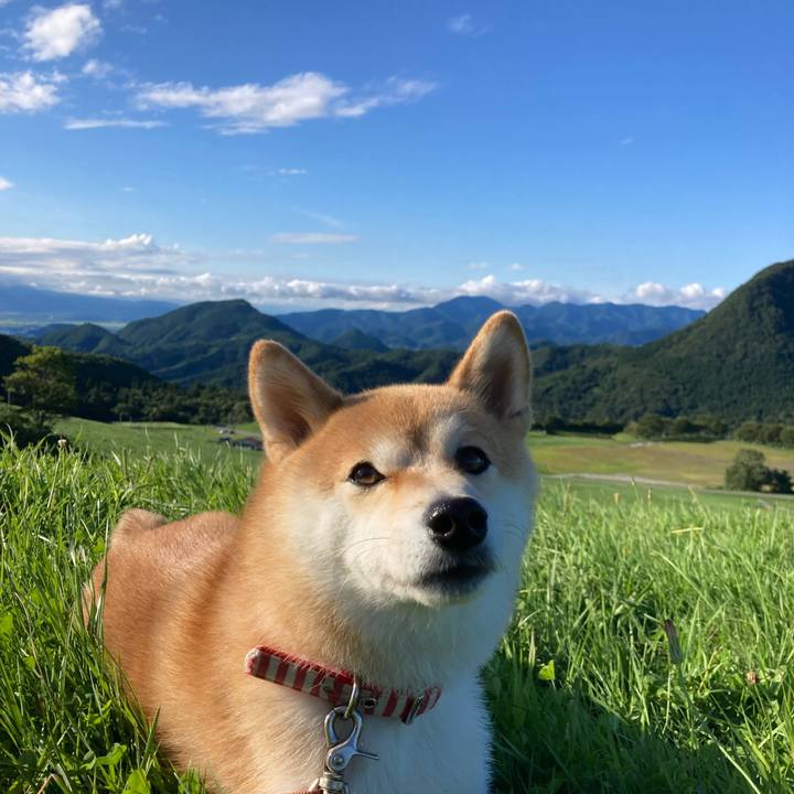 4ea9efdb 00b7 48bc 9f71 ea56c0f9626f 1662275850264