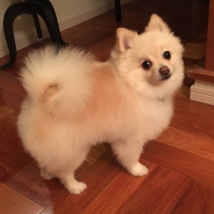 4eaa1a51 2797 44a0 a253 0ec7a4788875 1577106622584