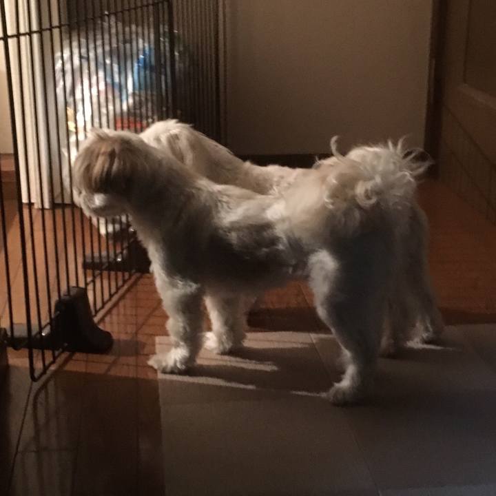 4eaa37f2 abe2 4fa3 b81d 8cb8b5793208 1529409473476