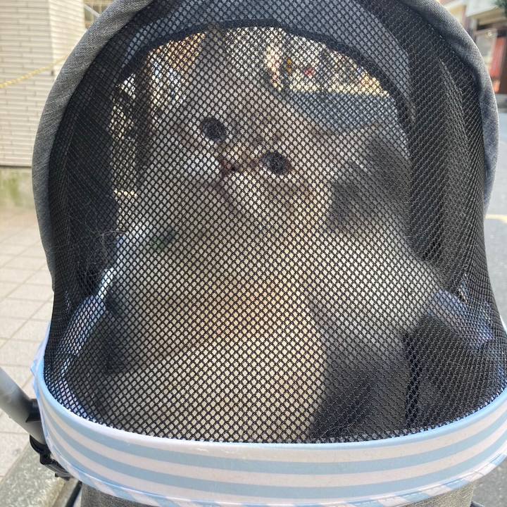 4eaa713f 77c9 4878 a2c8 9bac62b7cbc8 1677159731023