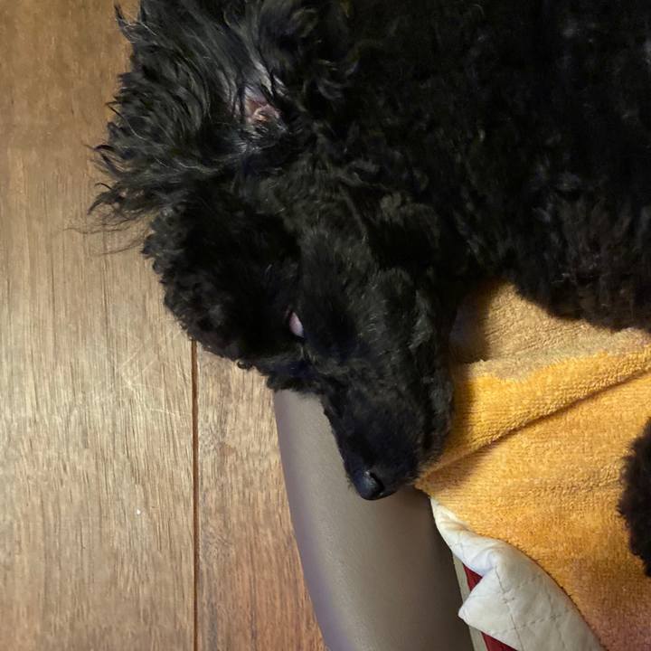 4eaaa1ce 074a 4c56 a875 239d4ae34b94 1592477342089