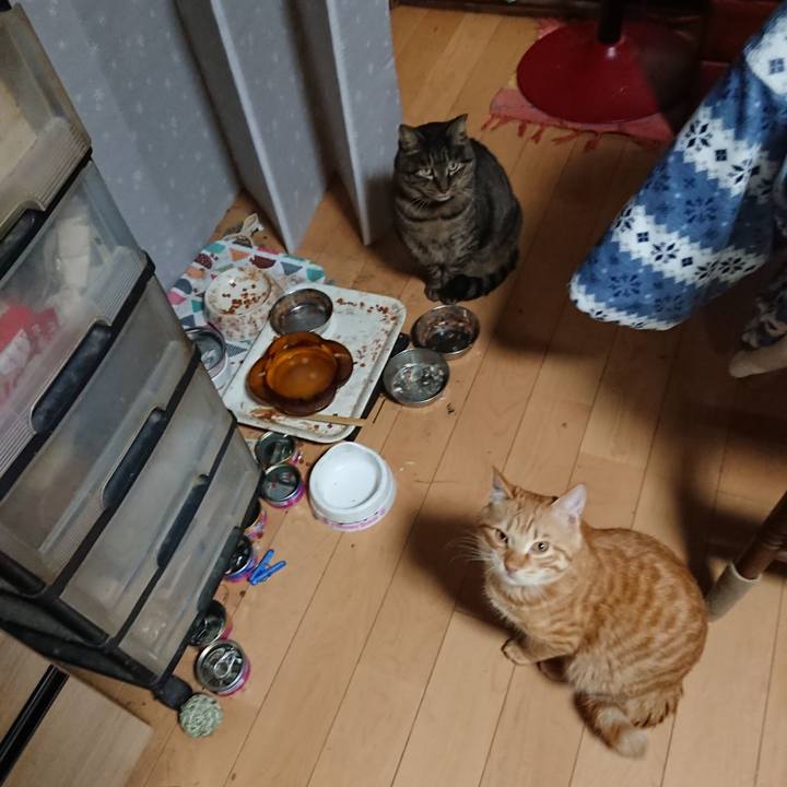 4eaad2d8 ec2b 4ffa a51c 2cee7e1dcd31 1643197183849