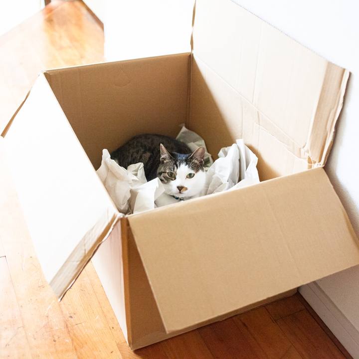 4eaafc39 02f5 4000 a5d3 9933287f1f93 1565185336539