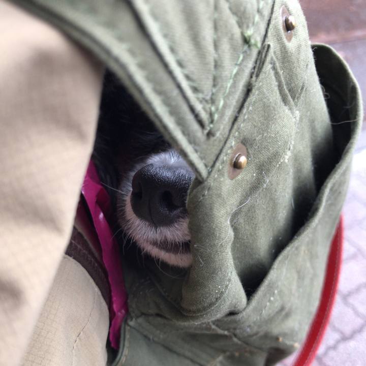 4eab083b 07dc 4472 ad94 f18f804f7918 1523429539976