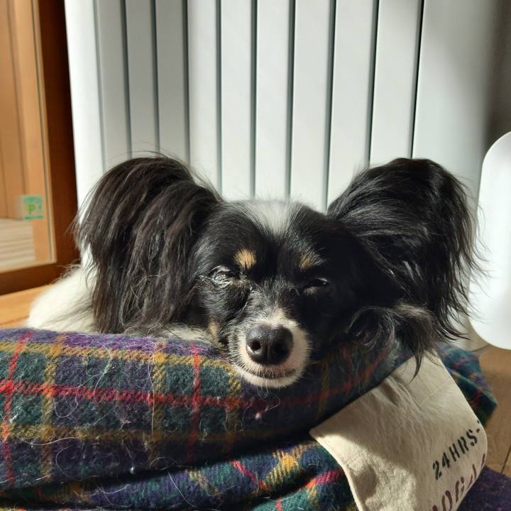 4eab1914 85ab 439a 81a8 e87d075b1678 1520210158467