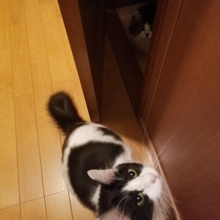 4eab3cdc 1663 4a17 a166 ff3d6d7d525d 1551356312657