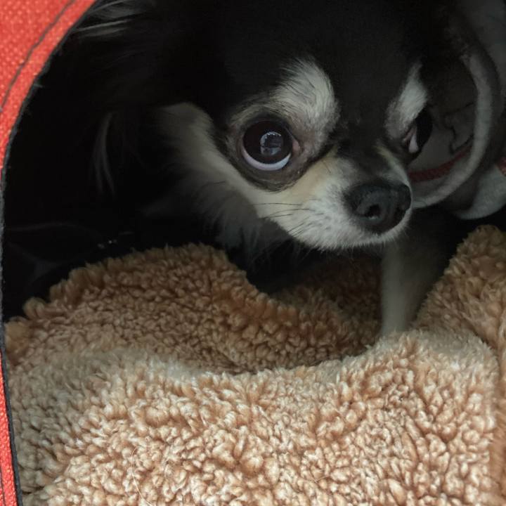 4eab5b0c 7cfb 4656 a2a6 a7a65abfabd0 1641649221129