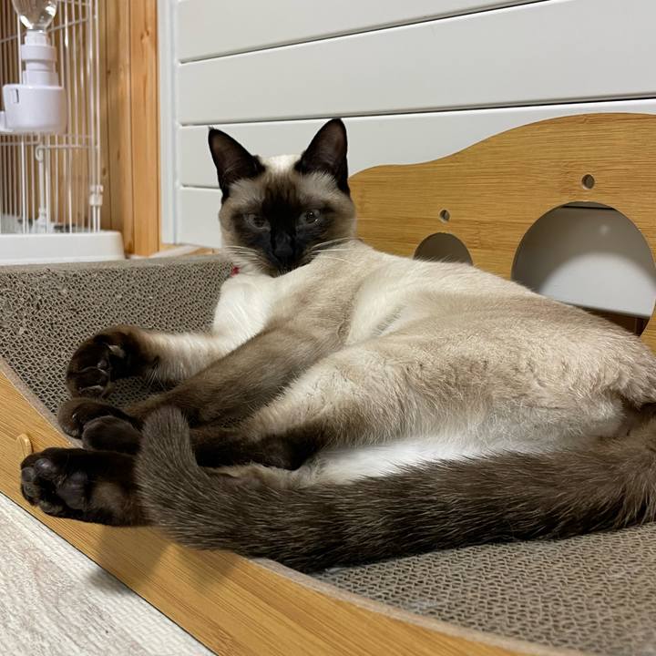 4eab6774 a521 4dba 8c83 f068fd6af62f 1709668562640