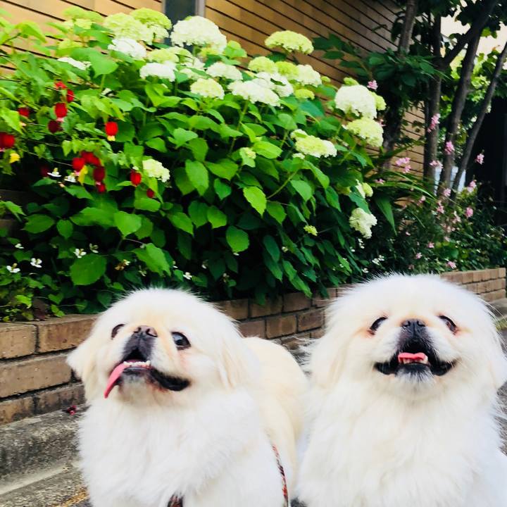 4eab80f6 343c 4b20 bf77 9e84a354f9f3 1591305841264