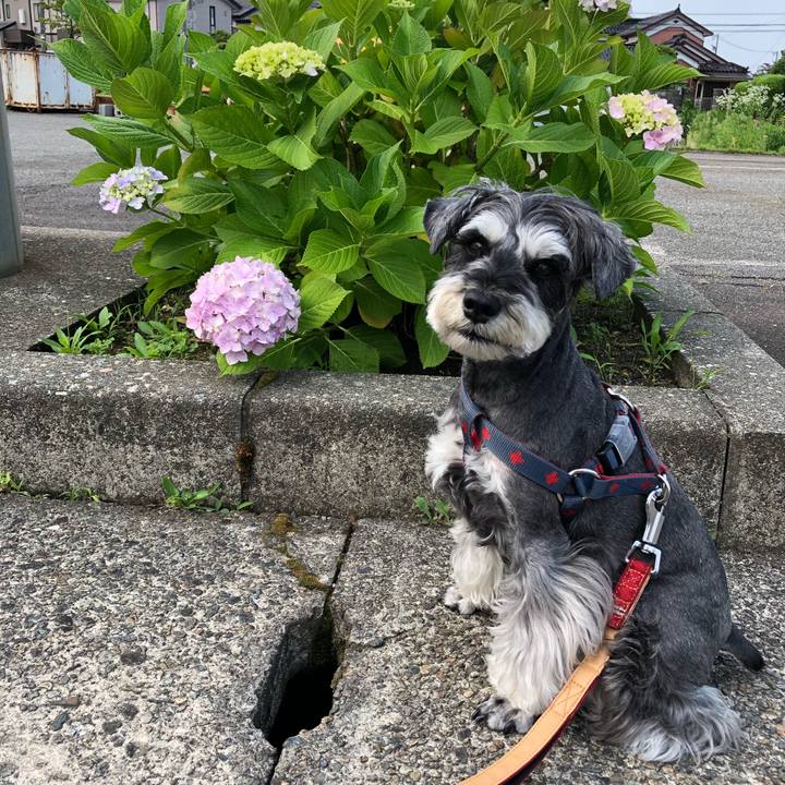 4eabe526 8bb3 4cb3 989a f31fde1870b9 1655603093008