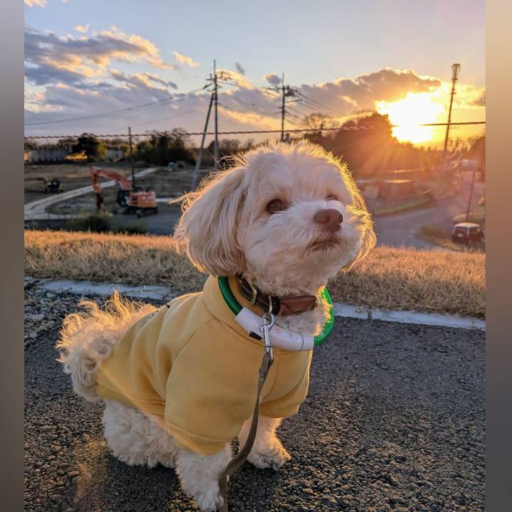 4eac143b d6f4 46a9 93b4 fde052e83a21 1769077146088