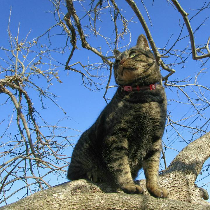 4eac3ea9 c4c5 4f43 a257 c084d7fabe18 1514863013857