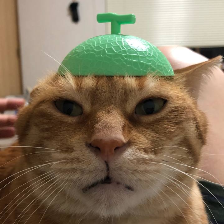 4eac4848 0359 41d1 8331 459b3b130fc8 1615554243357