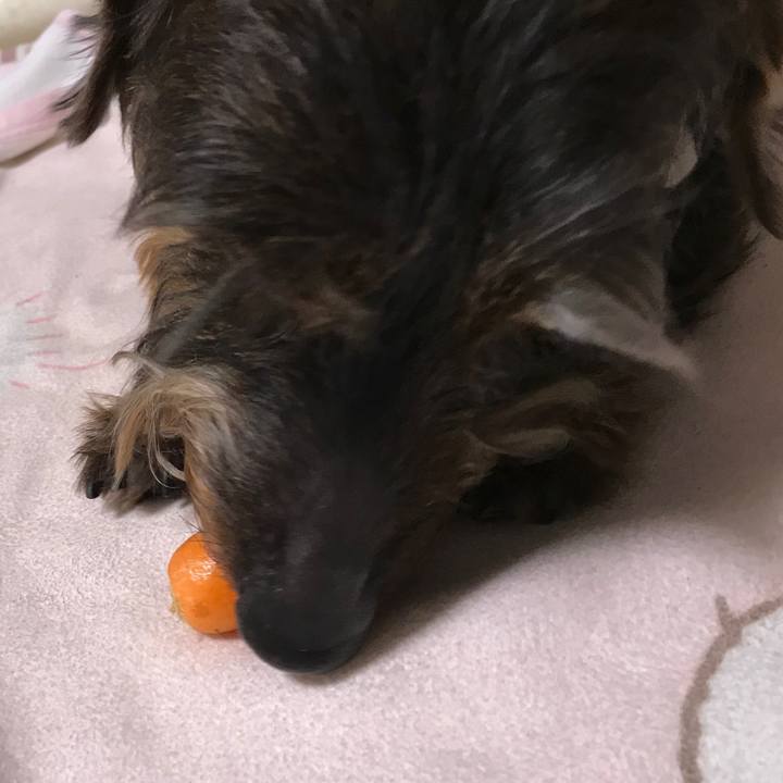 4eac6023 03ba 4363 939b a15e6cdaa17b 1523876448192