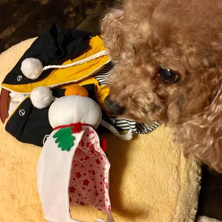 4eac77fe 71d5 40d2 98fe 8a6889a36978 1577879046092