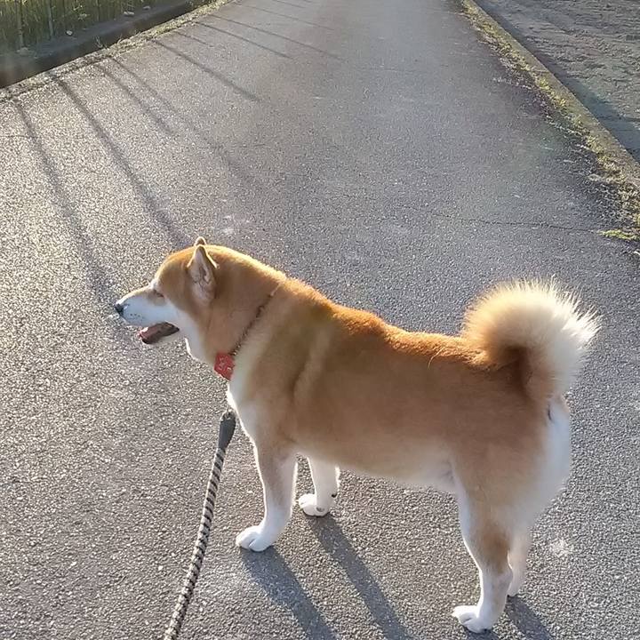 4eac7c4f e4ef 4507 b286 efa99fc92781 1633857400632