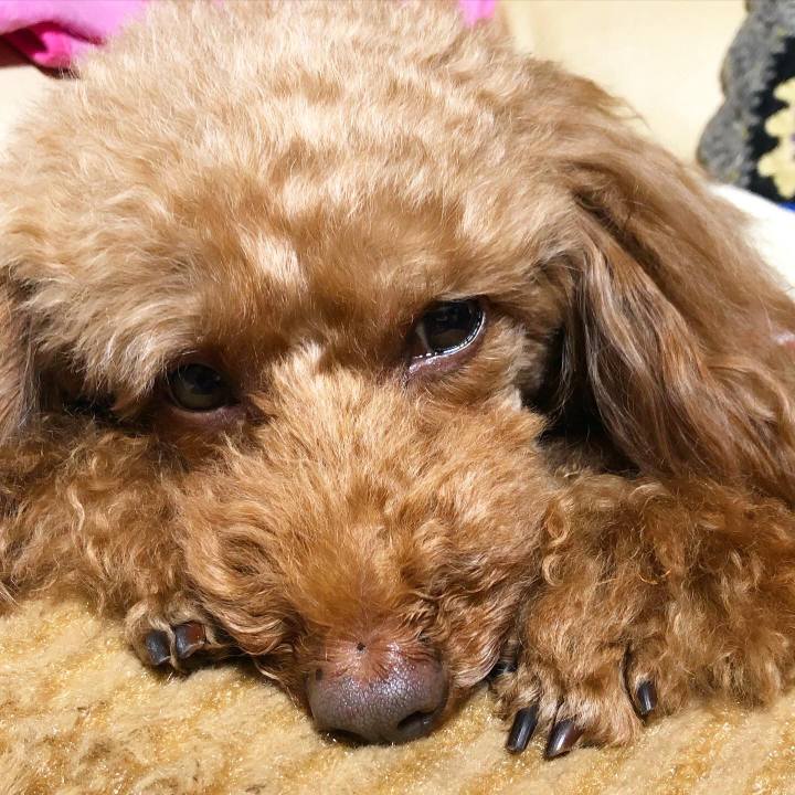 4ead542f 3901 499a 854e 8abeacd90dca 1587873866147