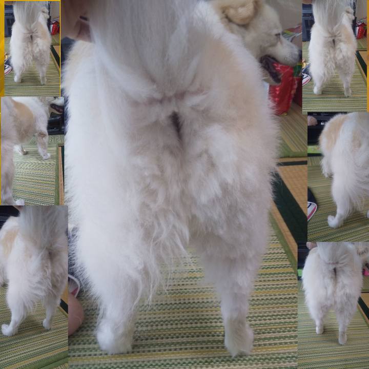 4ead5a99 2ca5 45e2 9457 cf133830eee9 1630799507803