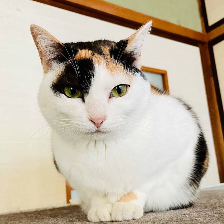 4eadb086 9dd9 45e2 bf43 85e288132109 1617934196265