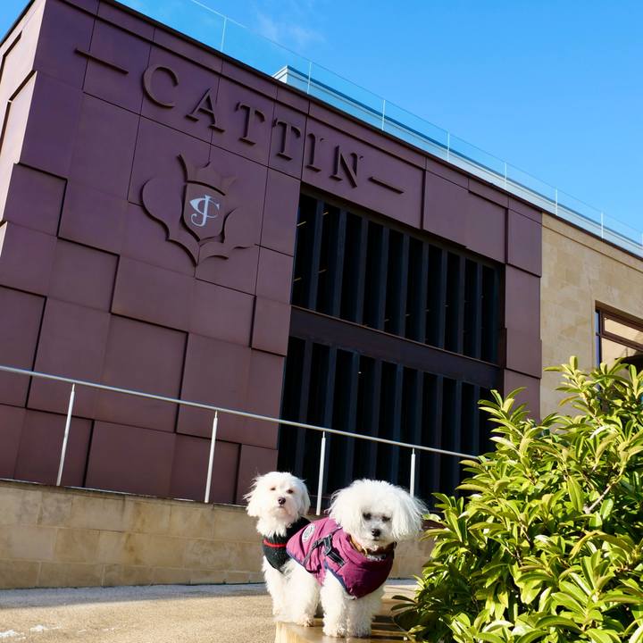 4eadc993 90a3 439f 8b56 b9e4cab13ebf 1768775376468