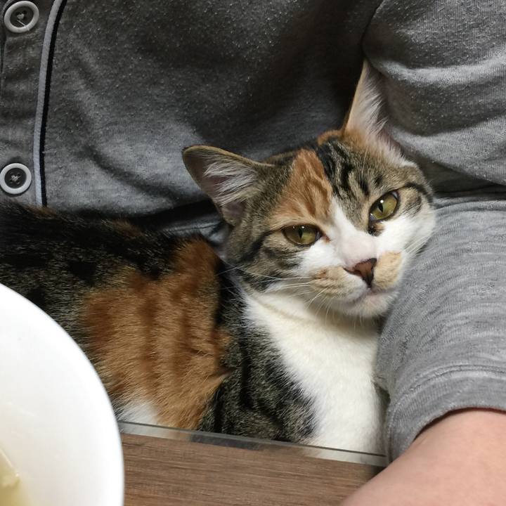 4eadcd80 25d3 4d62 8965 dcf570b1f977 1644146717344