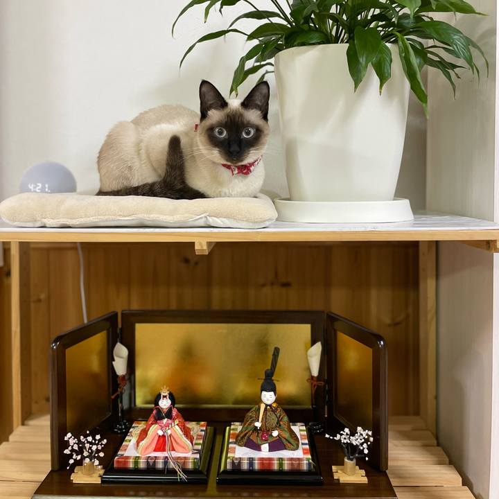 4eadd92b f95d 4e69 9efe 0494bcc6d814 1709149809536