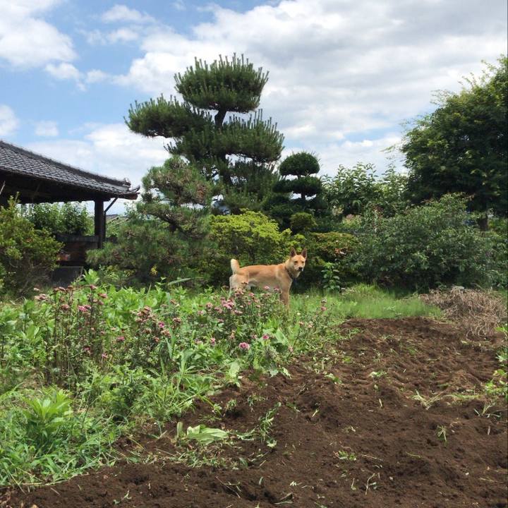 4eaddf89 7a01 4327 8ee9 f223a5cf845e 1592726016416