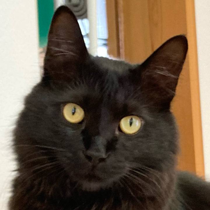 4eae267c 339b 4952 bfca 22494463d6cc 1742040941186