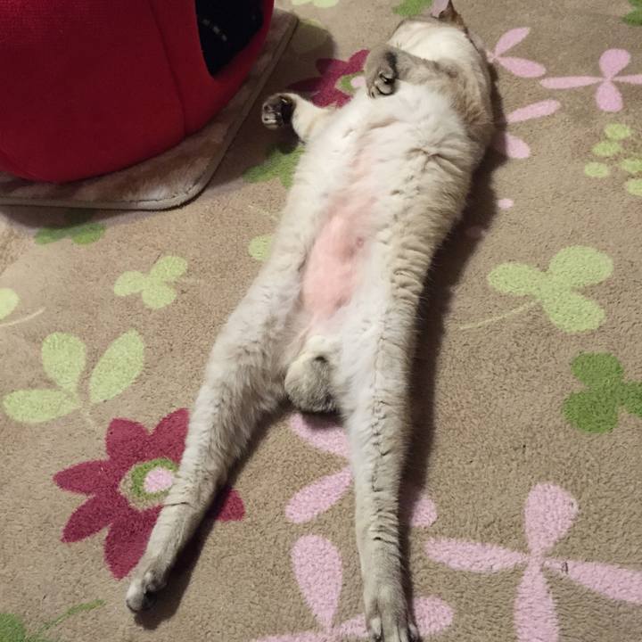 4eae36a2 bd4c 40ae b5a6 860764443be5 1525603718962