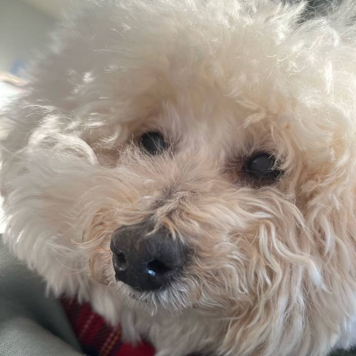 4eae58ae 26b2 4d13 b7e9 77b9d8be56d9 1771663685237