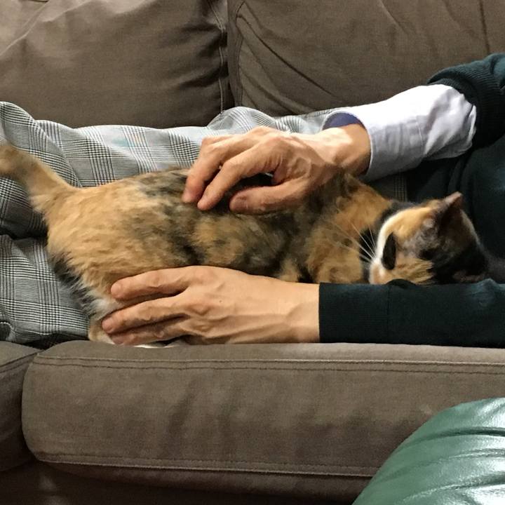 4eae94f0 694e 467a bb57 cc1319ee7453 1512059568767