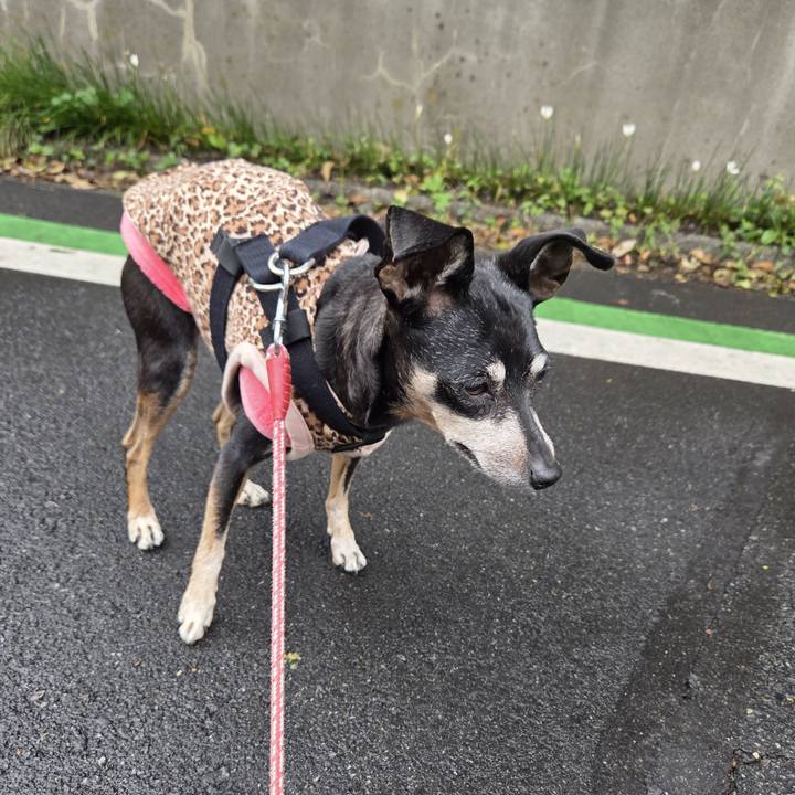 4eae9c44 8bd9 4207 b101 3795dd0b88e1 1761095234543