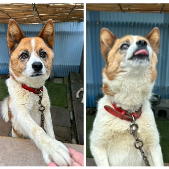 4eaeb44e b0c3 47e5 8de2 8114c4025d31 1760050472682