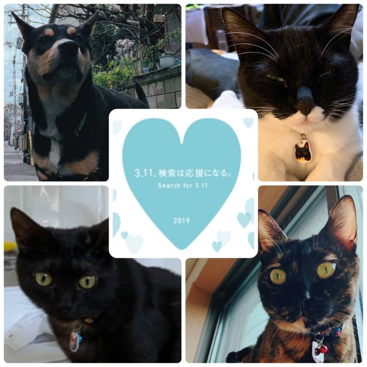 4eaebc7d 3f04 429b 9a28 7f1d0e50b92f 1552292371611