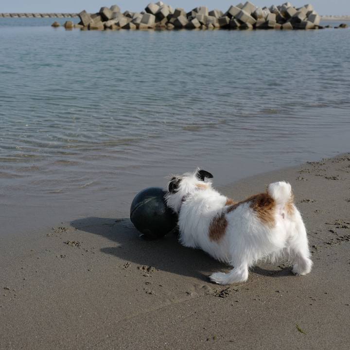 4eaebf78 b070 4e28 b54d 0c01c3c14661 1555909899061