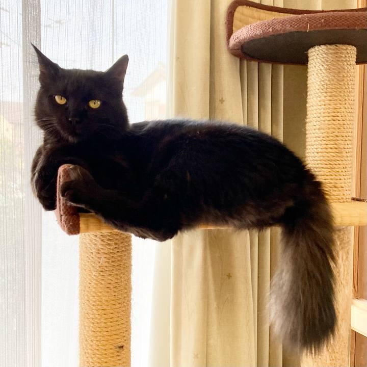 4eaec008 d40f 49a0 8525 300343dbde5a 1713584455440